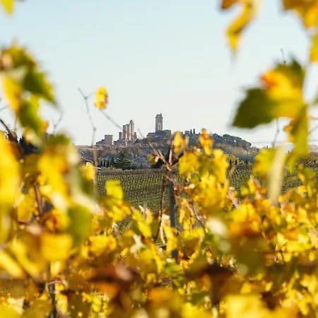 Farm stay Dei Logi San Gimignano